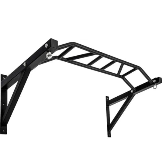Wall Mounted Pull Up Bar And Dip Station